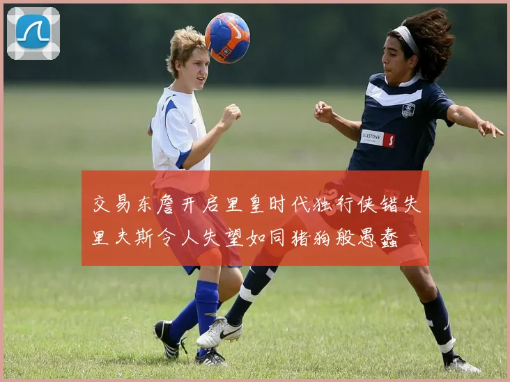 交易东詹开启里皇时代独行侠错失里夫斯令人失望如同猪狗般愚蠢