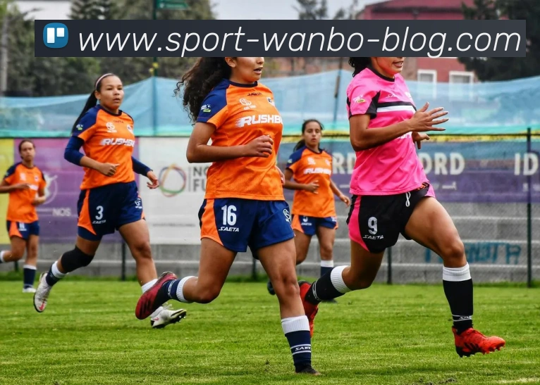 万博体育发展历程